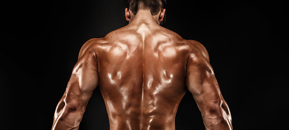 The Ultimate Back Workout That’ll Help You Lift Bigger. 